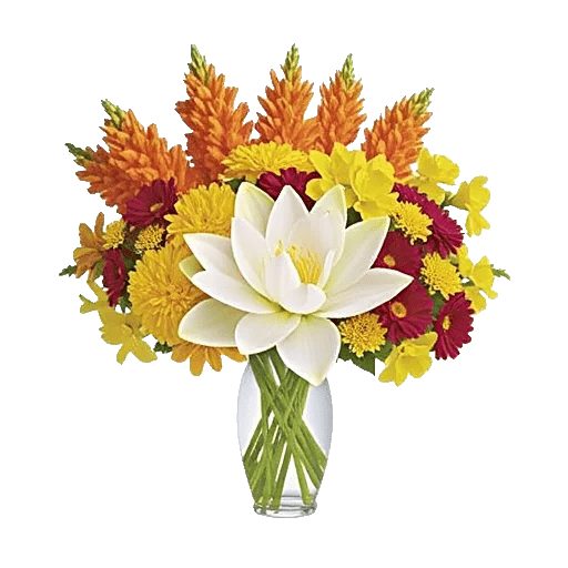 Ivory Blossom Radiance