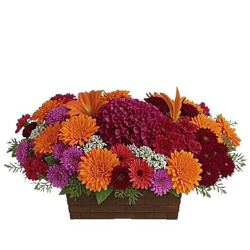 Petal Radiance Bliss