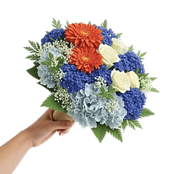 Blossom Petal Serenity