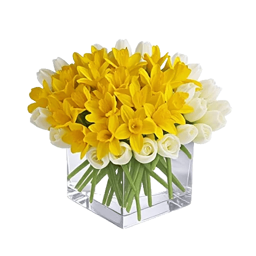 Petal Radiance Bliss