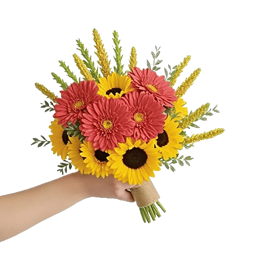 Coral Blossom Harmony