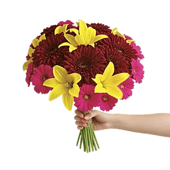 Crimson Blossom Harmony