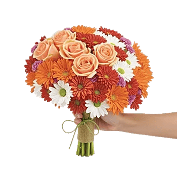 Blushing Rose Symphony