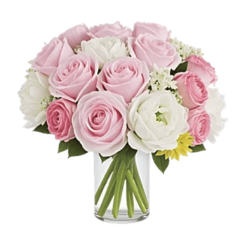 Petal Radiance Bliss