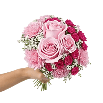 Pastel Pink Roses