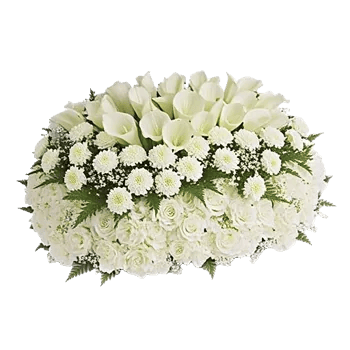 Elegant Calla Lilies
