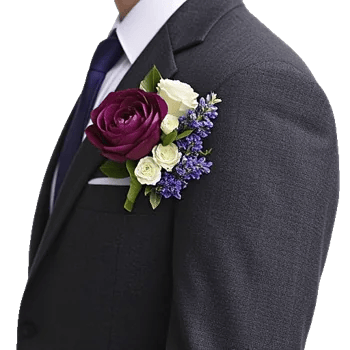 Plum Blossom Radiance