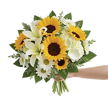 Graceful Lily Display