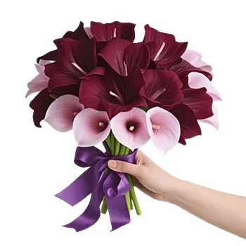 Elegant Calla Lilies