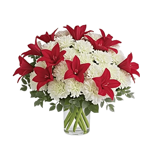 Crimson Blossom Harmony