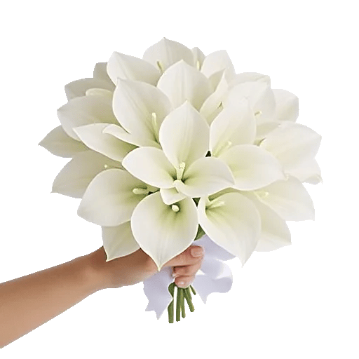 Elegant Calla Lilies