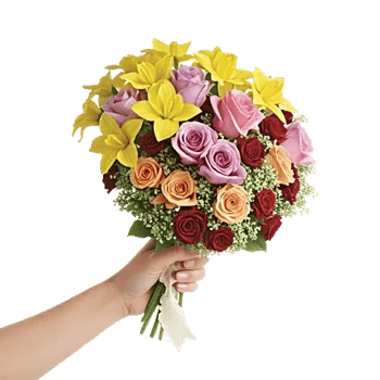 Ivory Blossom Radiance