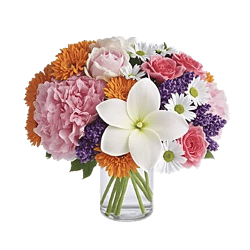 Petal Radiance Bliss