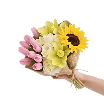 Blossom Harmony Display