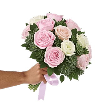 Pastel Pink Roses