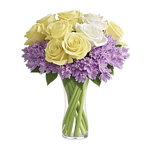 Ivory Blossom Radiance