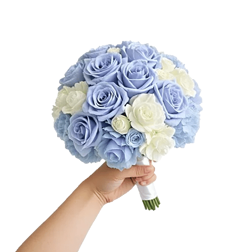 Blossom Petal Serenity