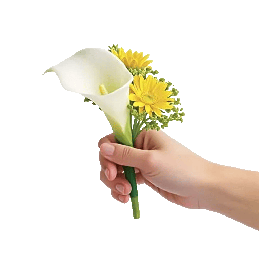 Elegant Calla Lilies