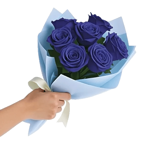 Elegant Blue Roses