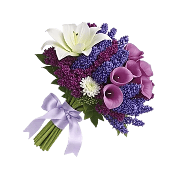 Elegant Calla Lilies