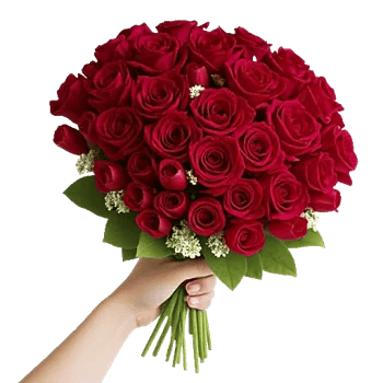 Crimson Rose Elegance