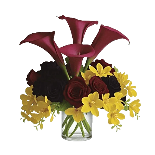 Elegant Calla Lilies