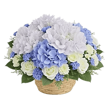 Serene Petal Harmony