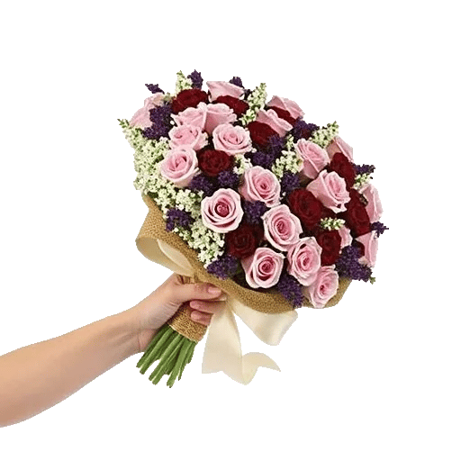 Blushing Rose Symphony