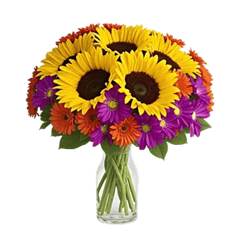 Radiant Bloom Cascade