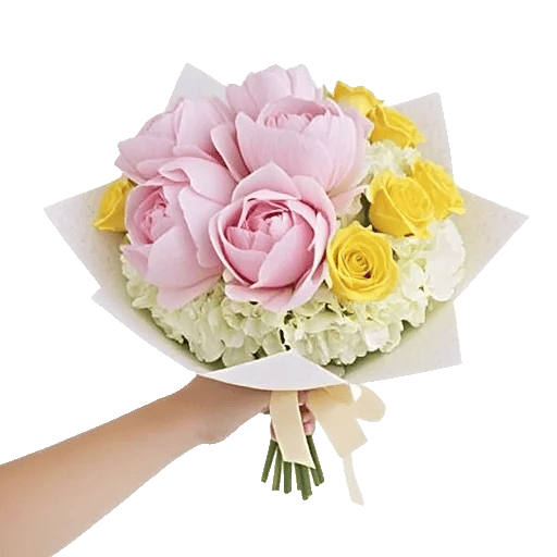 Peony Petal Harmony