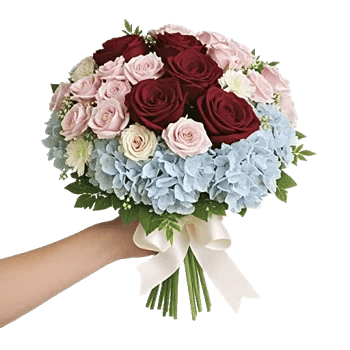 Blushing Rose Symphony