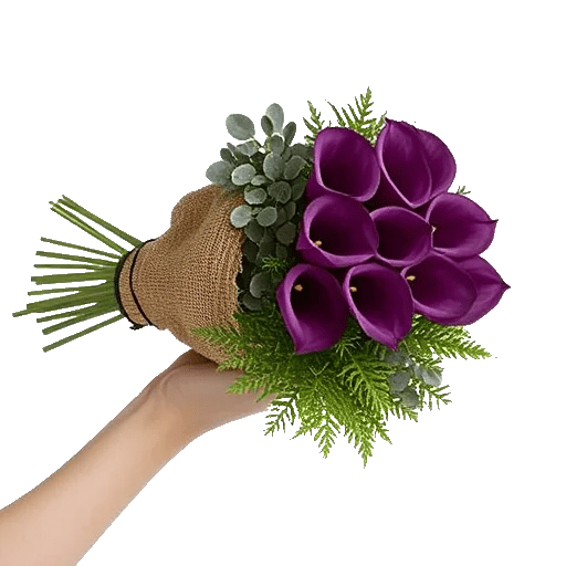 Elegant Calla Lilies