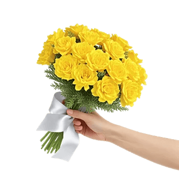 Blossom Harmony Display