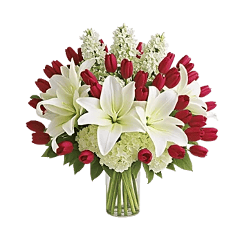 Graceful Lily Display