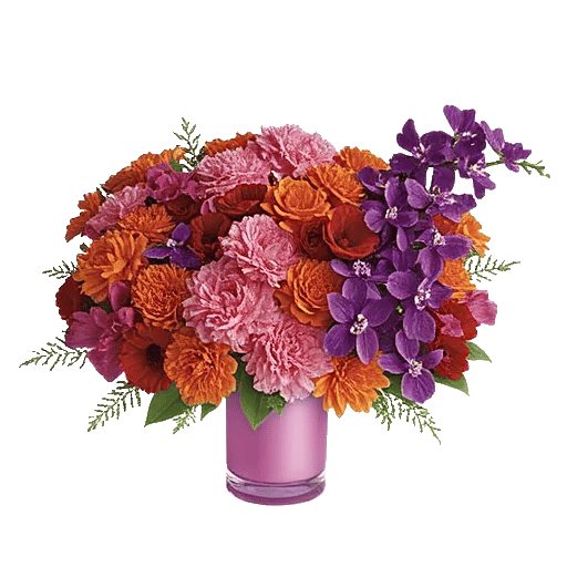 Petal Harmony Bliss