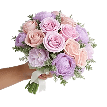 Pastel Pink Roses