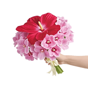 Orchid Bloom Cascade