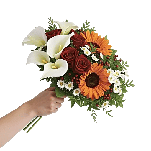 Elegant Calla Lilies