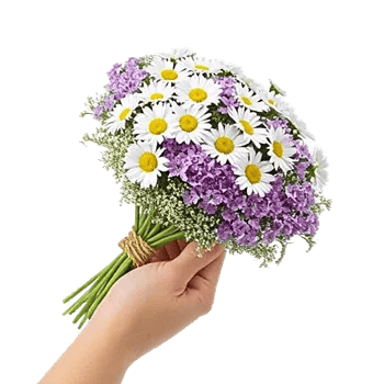 Enchanting Daisy Garden