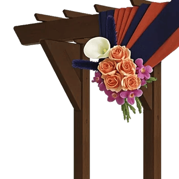 Elegant Calla Lilies