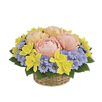 Petal Radiance Bliss