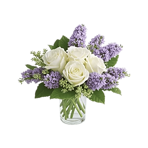 Pearl Rose Elegance