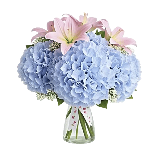 Serene Petal Harmony