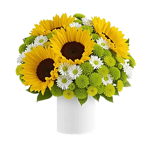 Radiant Bloom Cascade