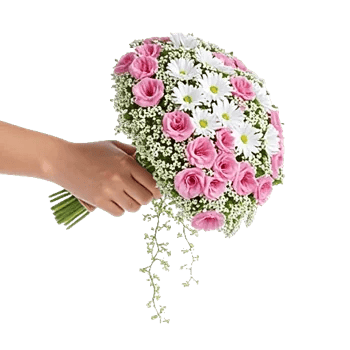Ivory Garden Grace