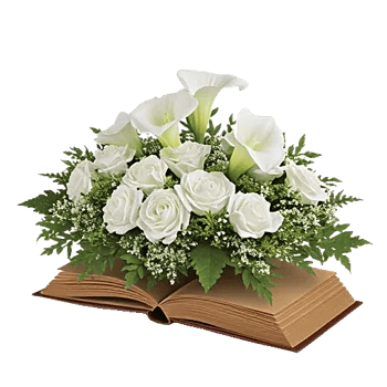 Elegant Calla Lilies