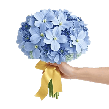 Elegant Blue Roses