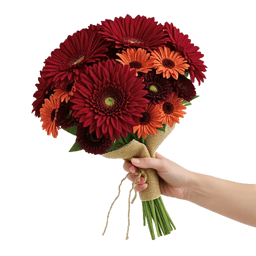 Crimson Blossom Harmony