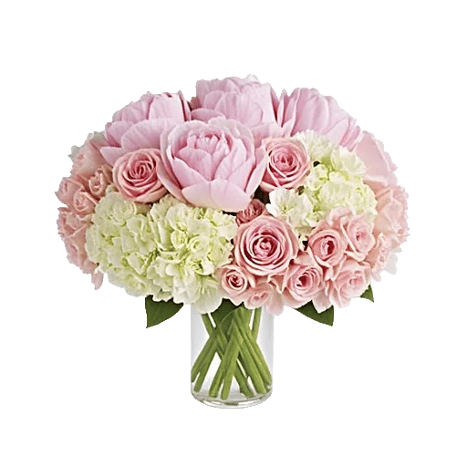 Petal Radiance Bliss