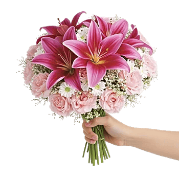 Blossom Petal Serenity